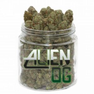 var man kan Köp Alien OG Strain