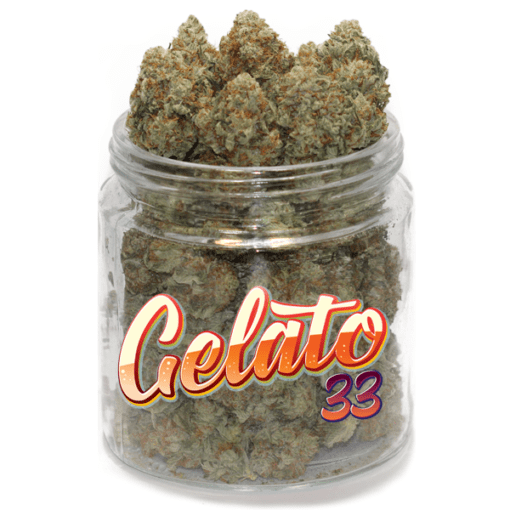 Köp gelato 33 cannabisstam online