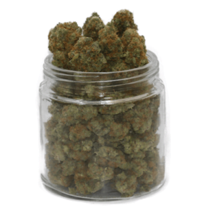 Köp Blueberry Strain online