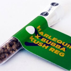 Alternative view of Harlequin x Bubba Kush Reg