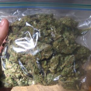 Alternative view of Master Kush